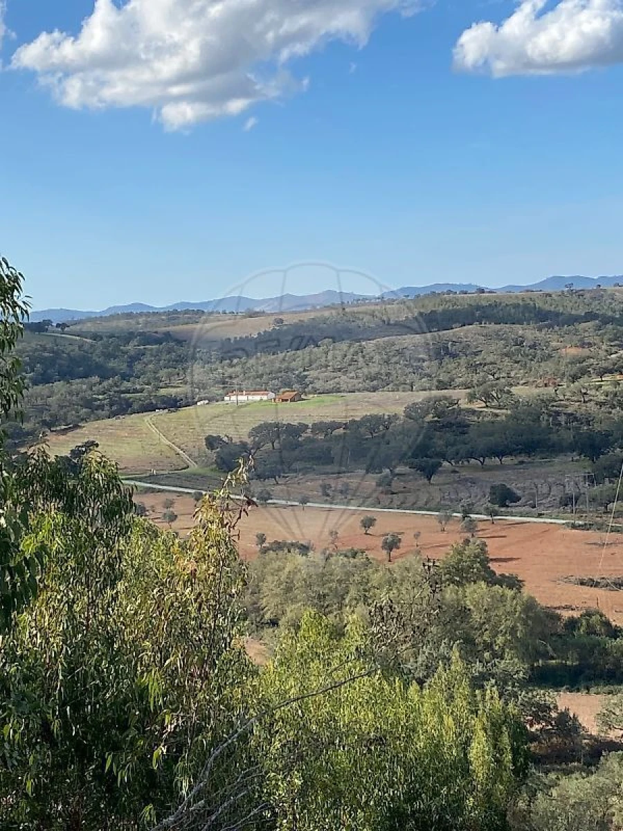 Quinta T2 para Venda em Reliquias Foto 12