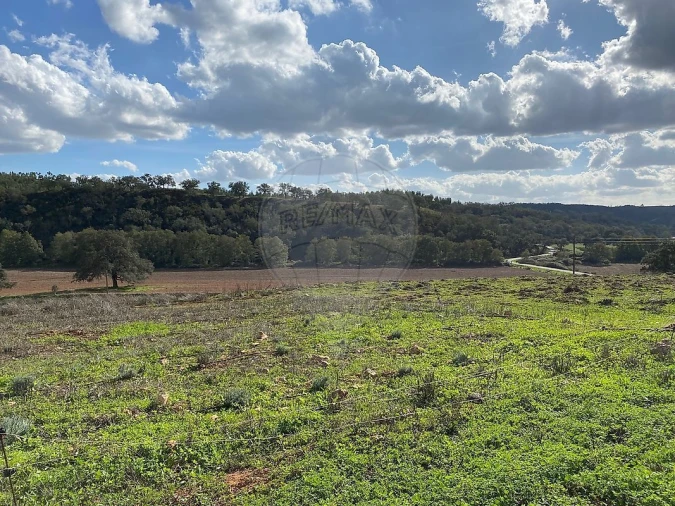 Quinta T2 para Venda em Reliquias Foto 3