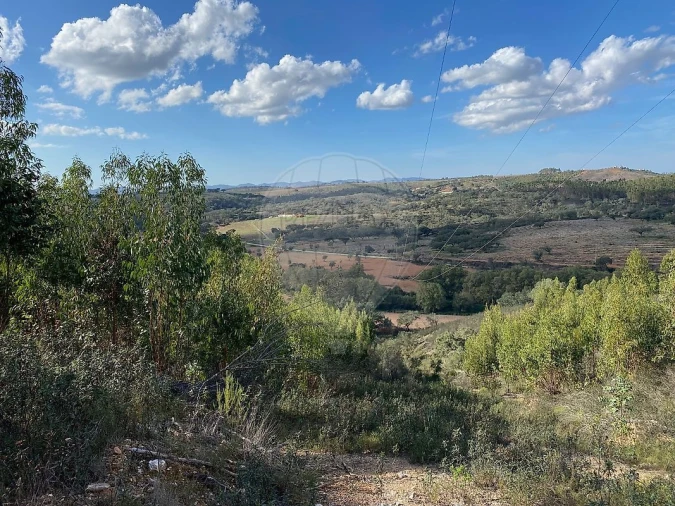 Quinta T2 para Venda em Reliquias Foto 9