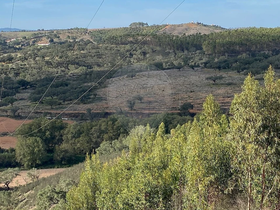 Quinta T2 para Venda em Reliquias Foto 10