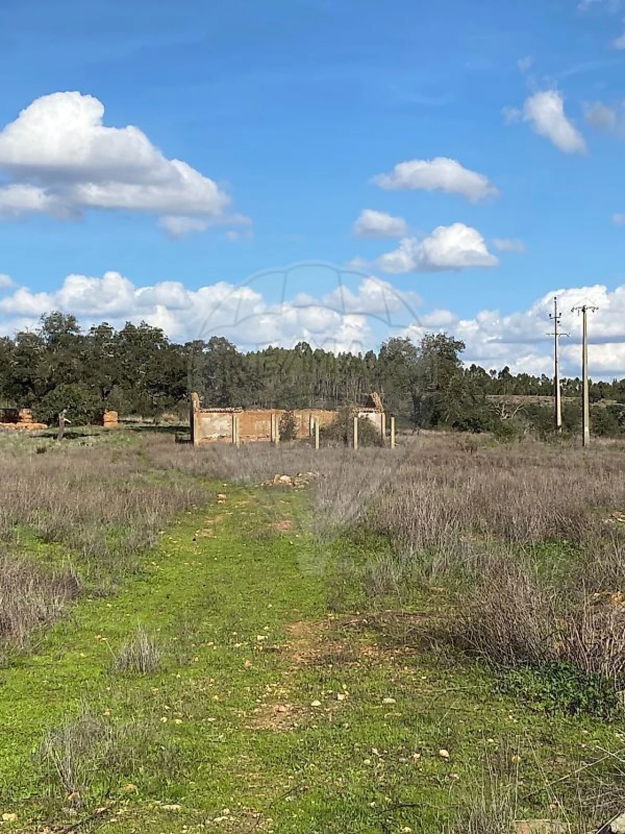 Quinta T2 para Venda em Reliquias Foto 8