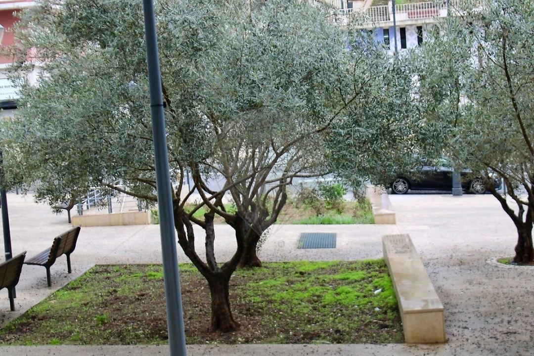 Loja para Arrendamento em Estrela Foto 15