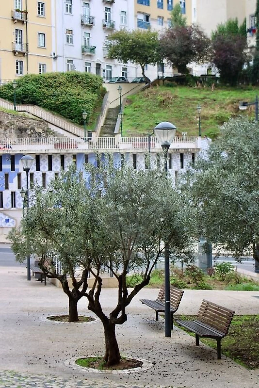 Loja para Arrendamento em Estrela Foto 13