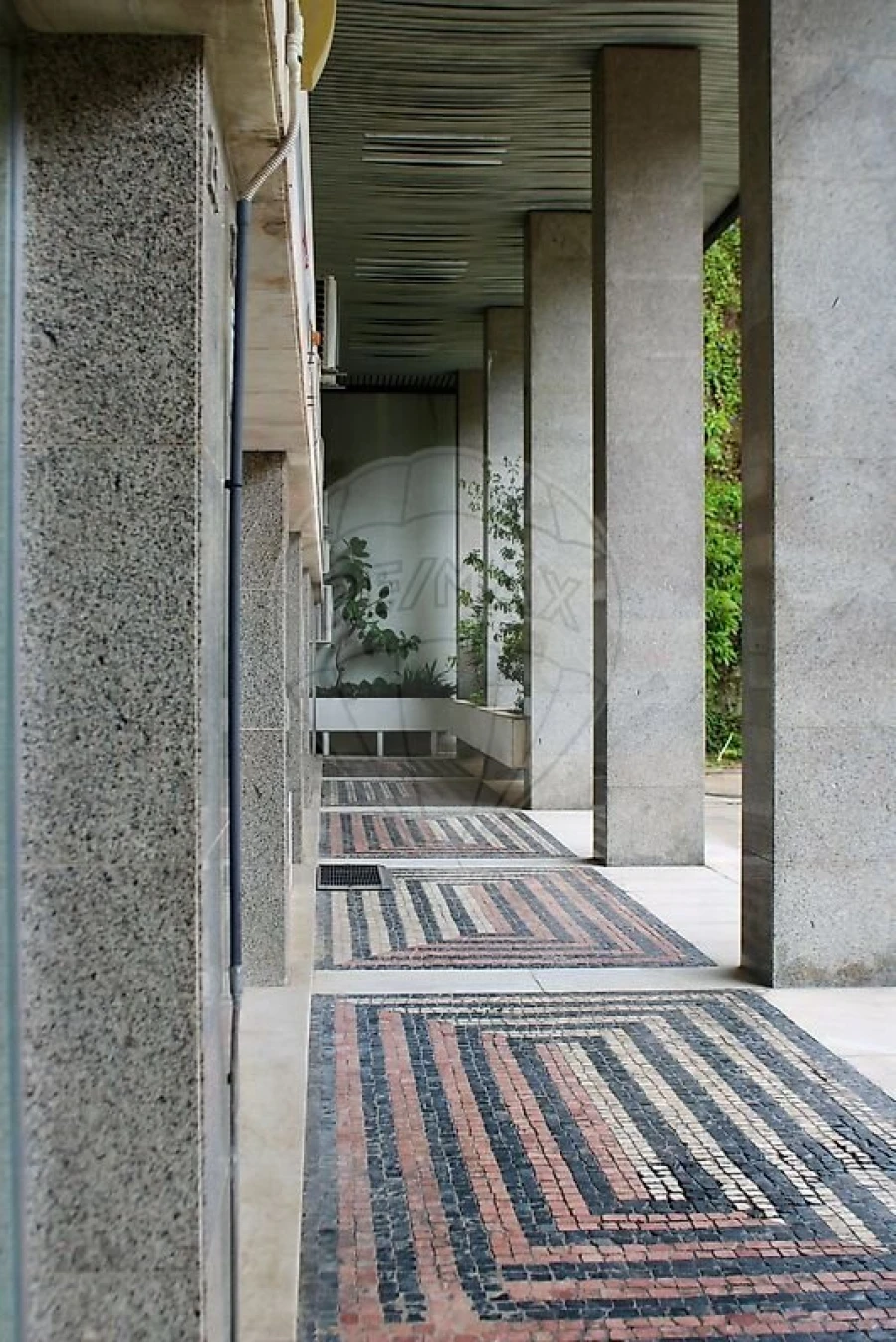 Loja para Arrendamento em Estrela Foto 16