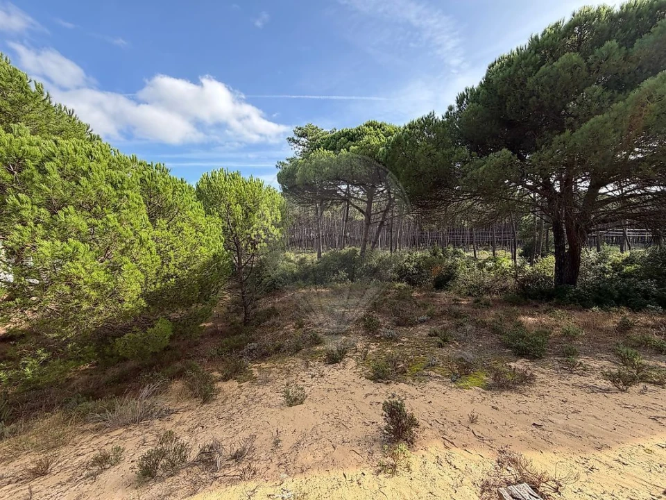 Terreno para Venda em Charneca de Caparica e Sobreda Foto 1