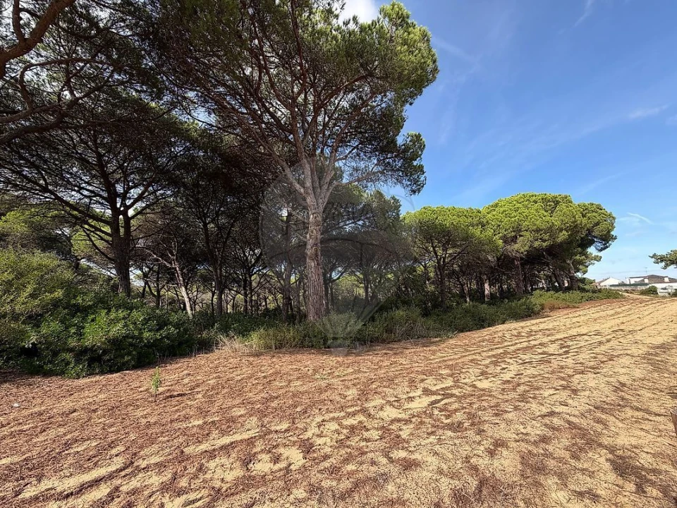 Terreno para Venda em Charneca de Caparica e Sobreda Foto 16