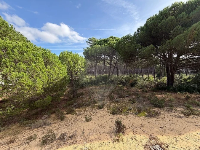 Terreno para Venda em Charneca de Caparica e Sobreda