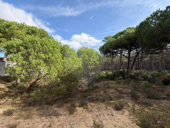 Terreno para Venda em Charneca de Caparica e Sobreda Foto 15