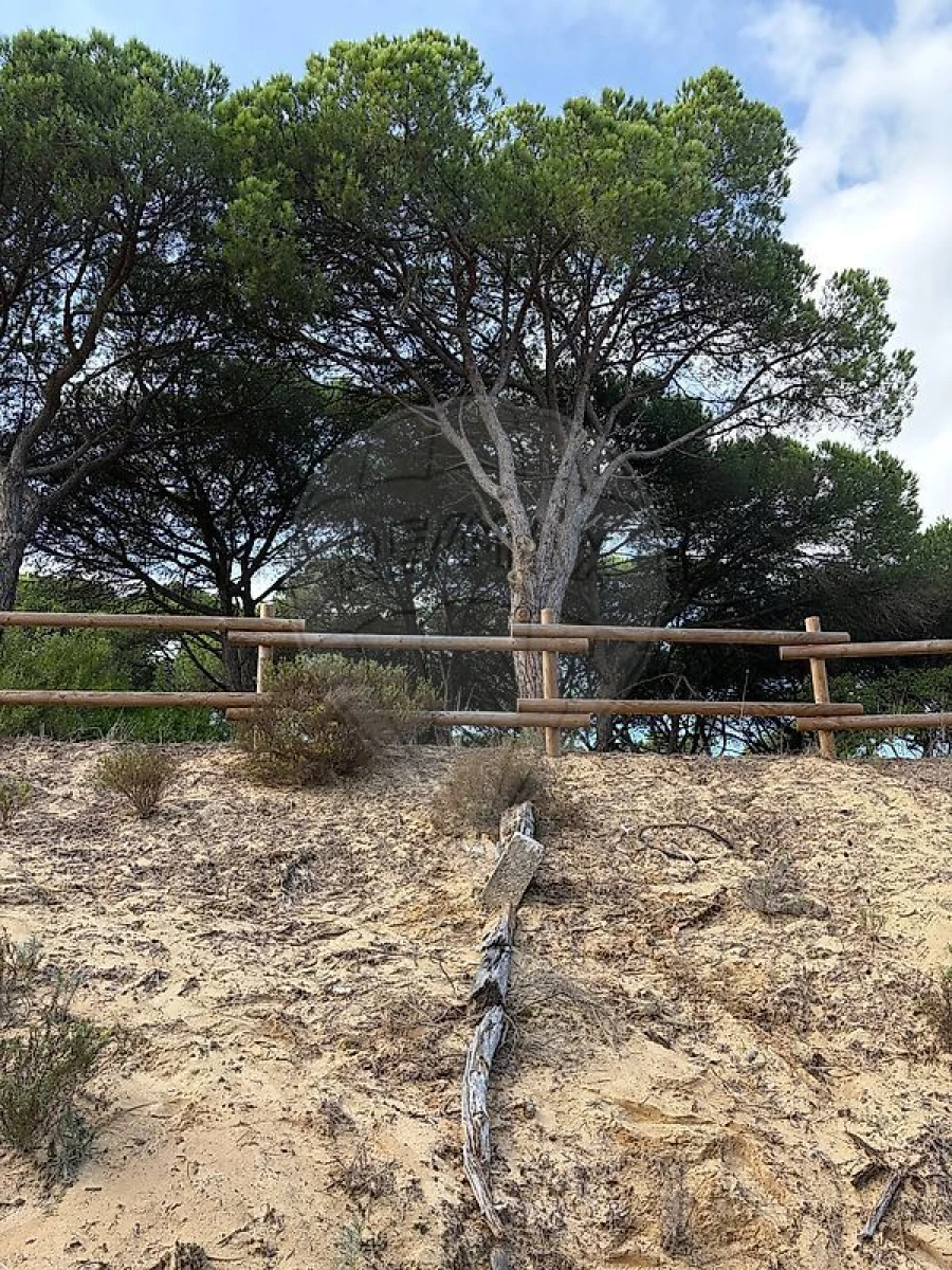 Terreno para Venda em Charneca de Caparica e Sobreda Foto 12