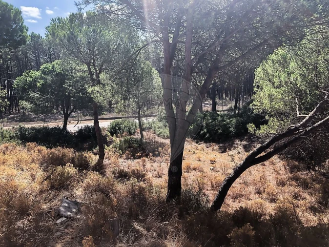 Terreno para Venda em Charneca de Caparica e Sobreda Foto 11