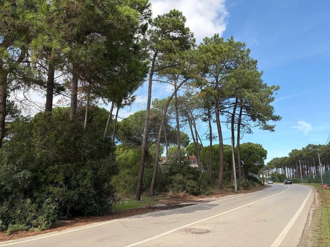 Terreno para Venda em Charneca de Caparica e Sobreda Foto 5