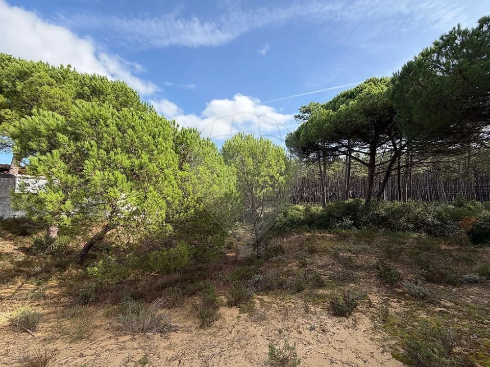 Terreno para Venda em Charneca de Caparica e Sobreda Foto 15