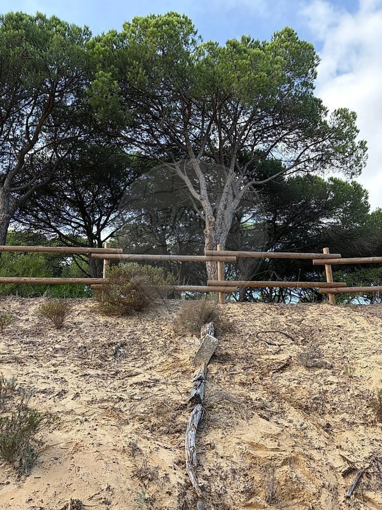 Terreno para Venda em Charneca de Caparica e Sobreda Foto 12