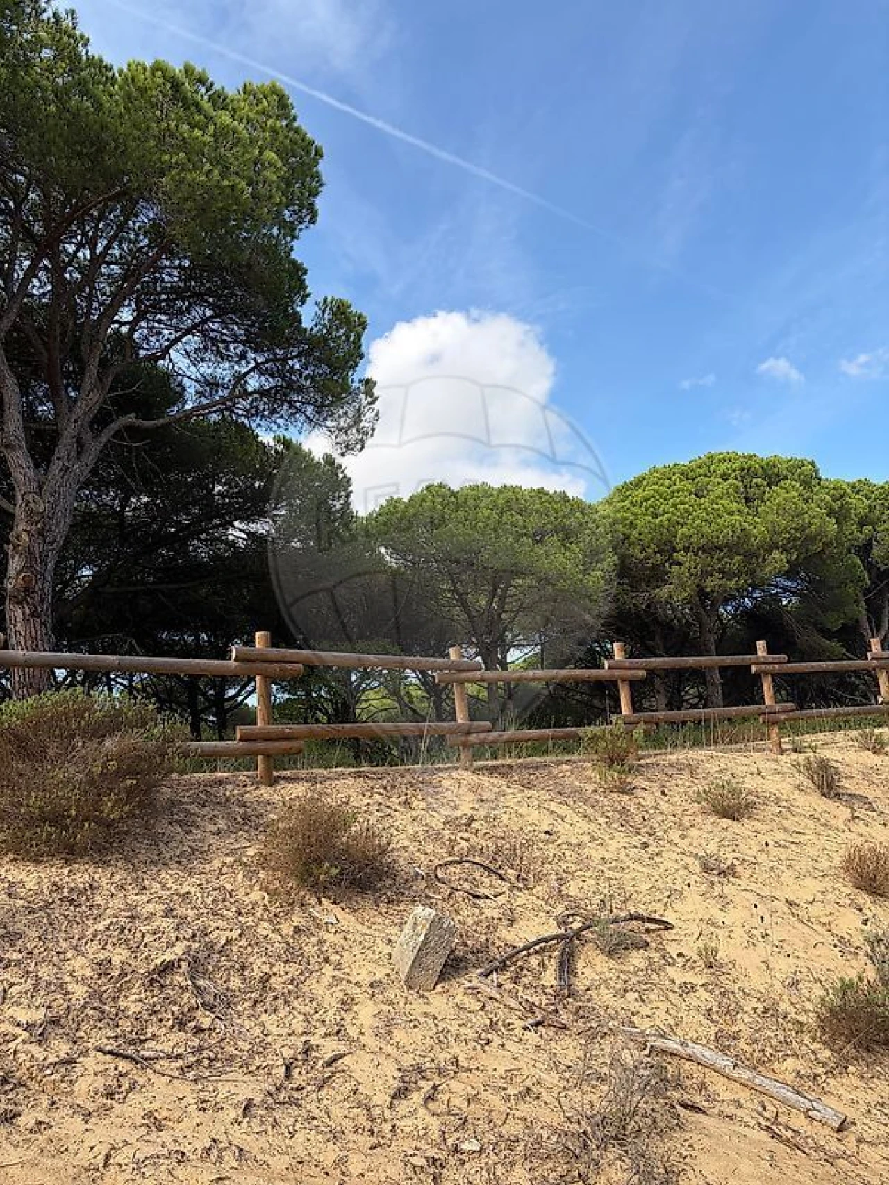 Terreno para Venda em Charneca de Caparica e Sobreda Foto 13