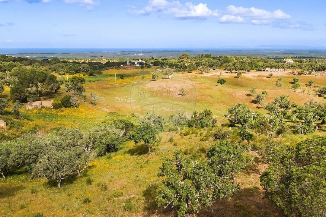 Terreno para Venda em Melides Foto 2