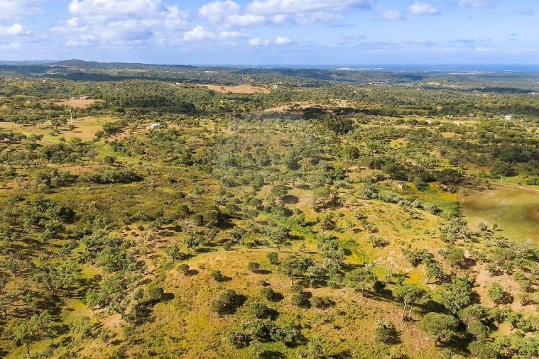 Terreno para Venda em Melides Foto 3