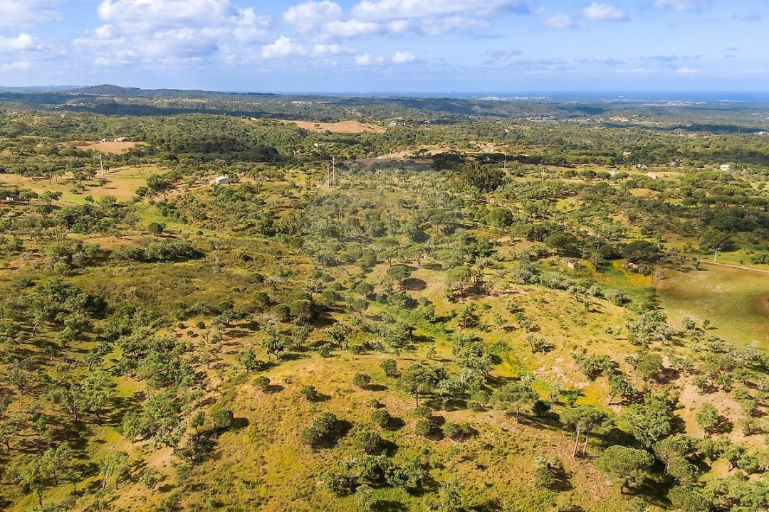 Terreno para Venda em Melides Foto 3