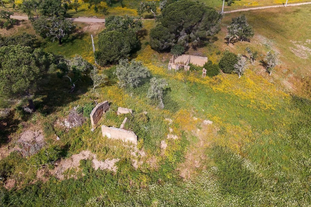 Terreno para Venda em Melides Foto 5