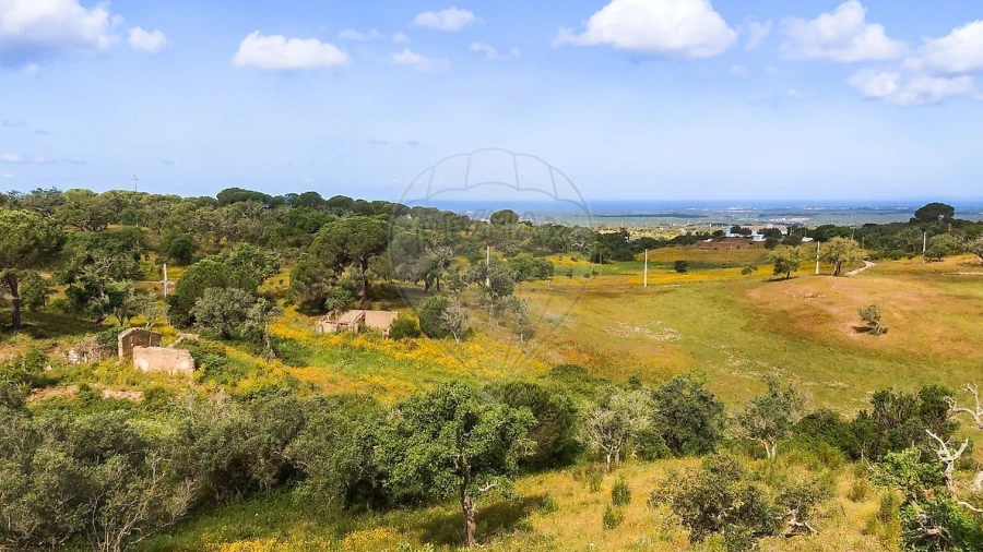 Terreno para Venda em Melides