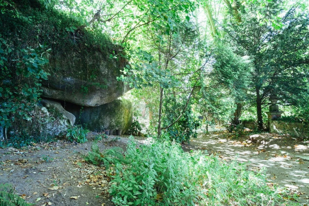 Moradia T13 para Venda em Santa Maria e São Miguel, São Martinho, São Pedro Penaferrim Foto 40