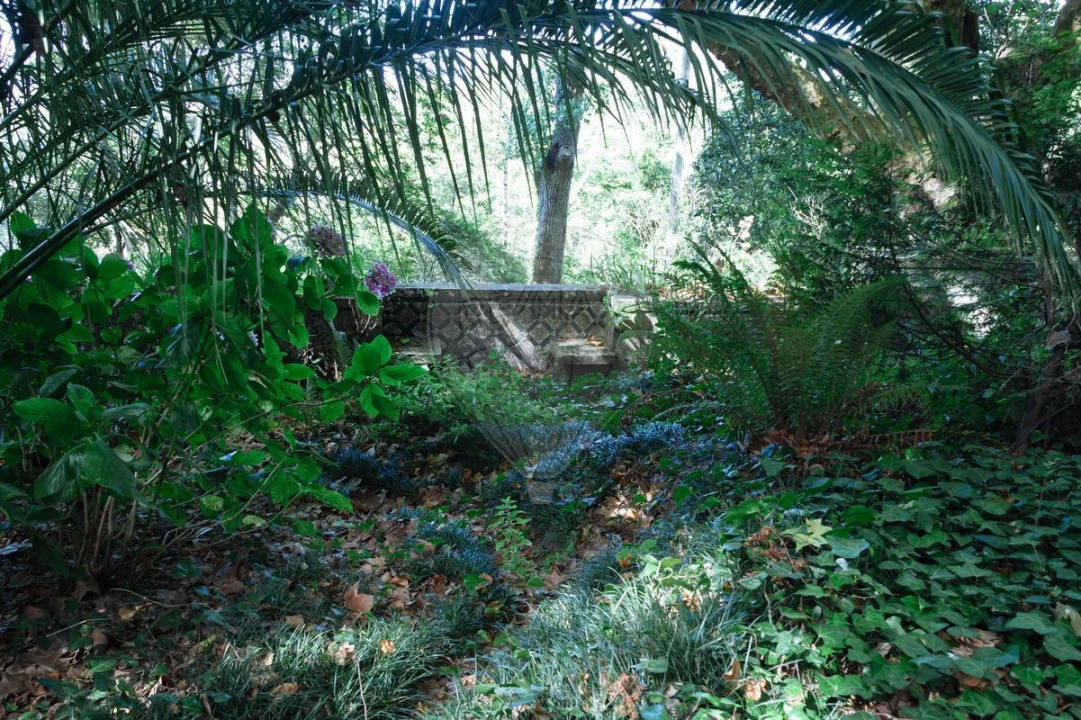 Moradia T13 para Venda em Santa Maria e São Miguel, São Martinho, São Pedro Penaferrim Foto 41