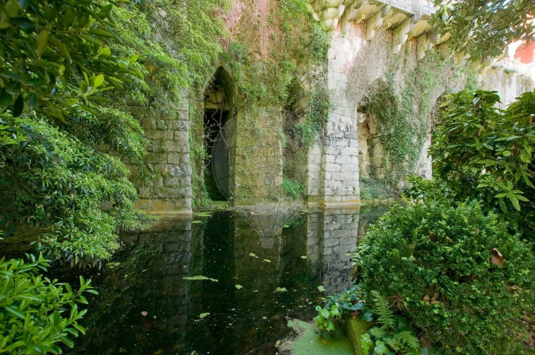 Moradia T13 para Venda em Santa Maria e São Miguel, São Martinho, São Pedro Penaferrim Foto 42