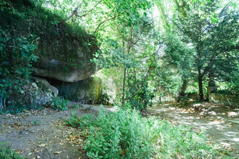 Moradia T13 para Venda em Santa Maria e São Miguel, São Martinho, São Pedro Penaferrim Foto 40