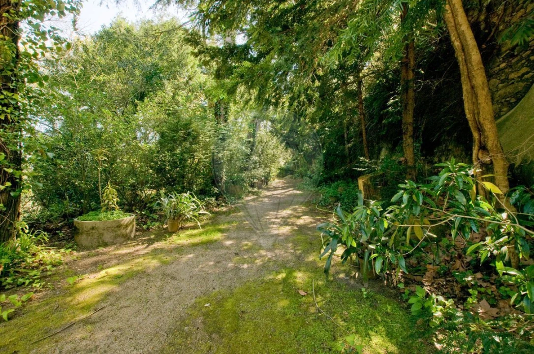 Moradia T13 para Venda em Santa Maria e São Miguel, São Martinho, São Pedro Penaferrim Foto 38