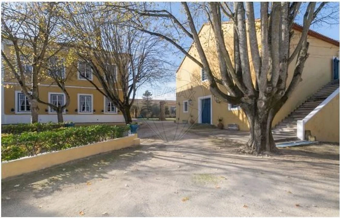 Quinta T21 para Venda em Valado dos Frades Foto 40