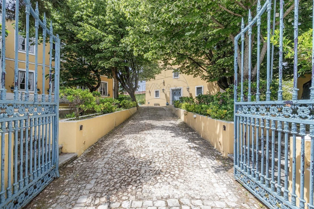 Quinta T21 para Venda em Valado dos Frades Foto 33