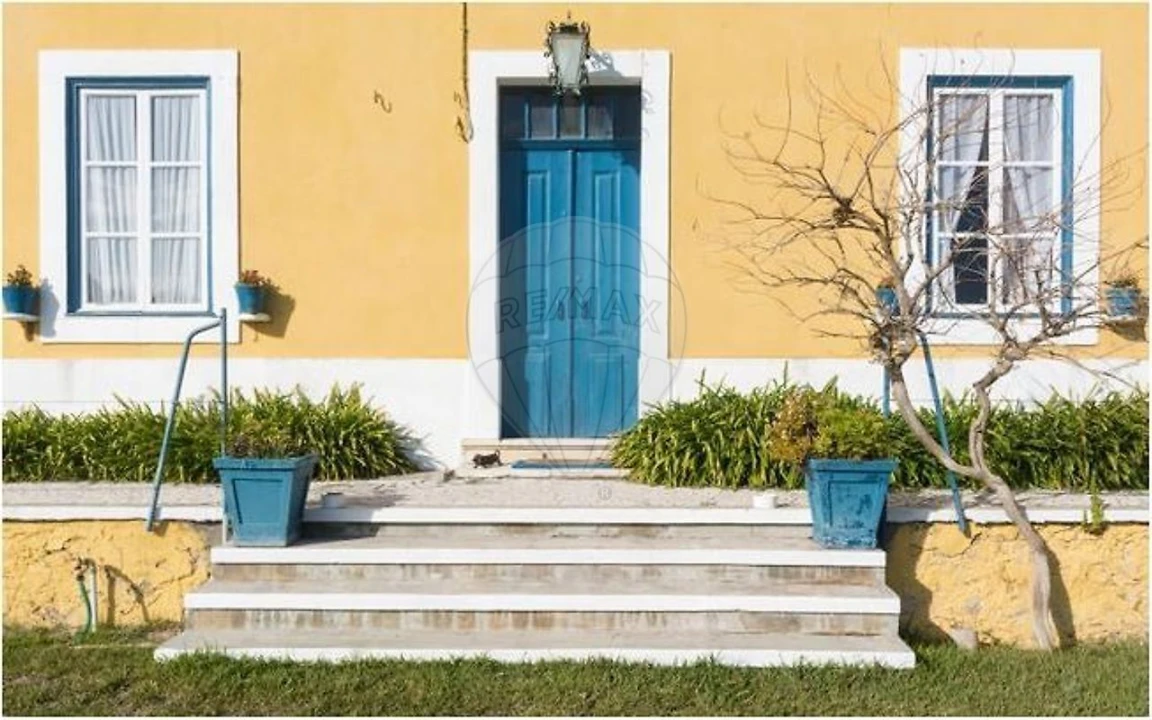 Quinta T21 para Venda em Valado dos Frades Foto 36