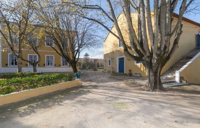 Quinta T21 para Venda em Valado dos Frades Foto 37