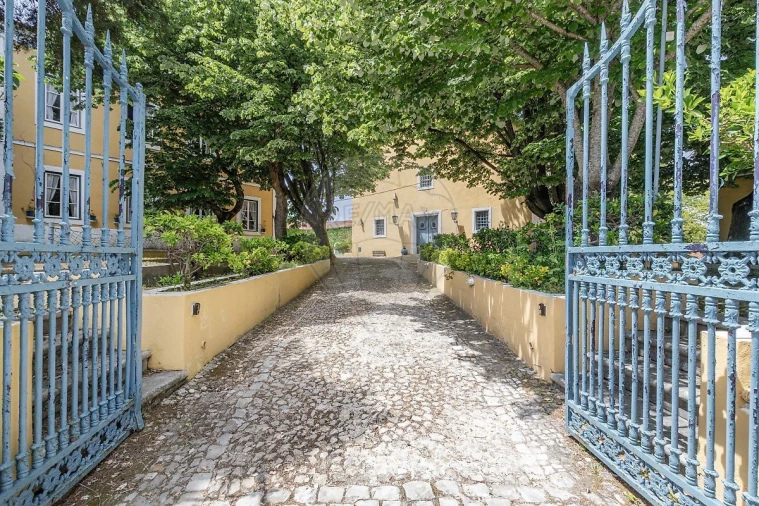 Quinta T21 para Venda em Valado dos Frades Foto 33