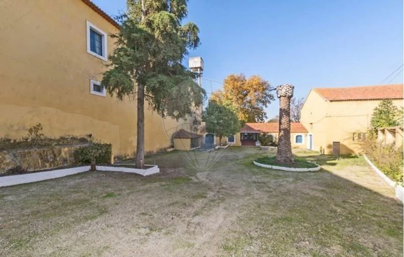 Quinta T21 para Venda em Valado dos Frades Foto 35