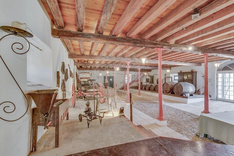 Quinta T21 para Venda em Valado dos Frades Foto 24