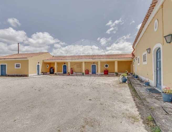 Quinta T21 para Venda em Valado dos Frades Foto 14