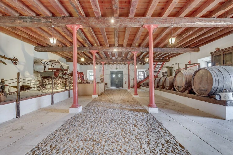 Quinta T21 para Venda em Valado dos Frades Foto 23