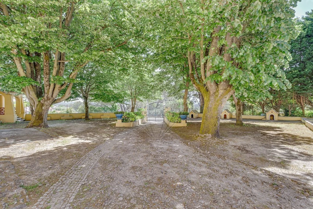 Quinta T21 para Venda em Valado dos Frades Foto 32