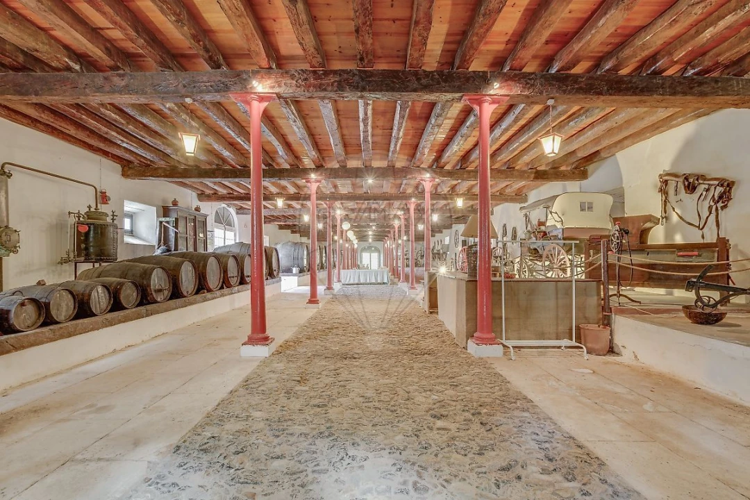 Quinta T21 para Venda em Valado dos Frades Foto 22