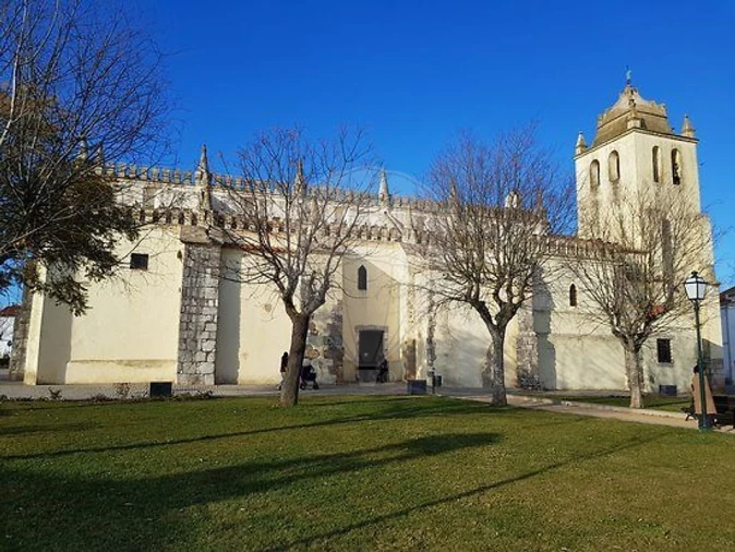 Terreno para Venda em Alvito Foto 10
