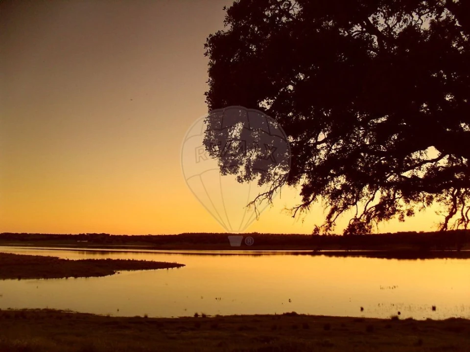 Terreno para Venda em Alvito Foto 12