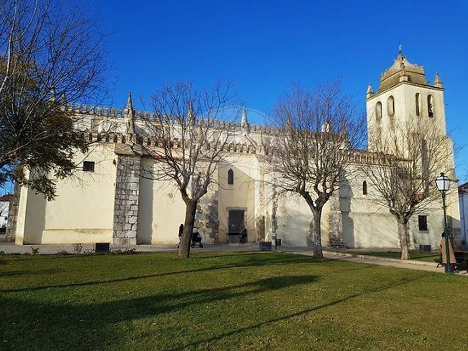 Terreno para Venda em Alvito Foto 10