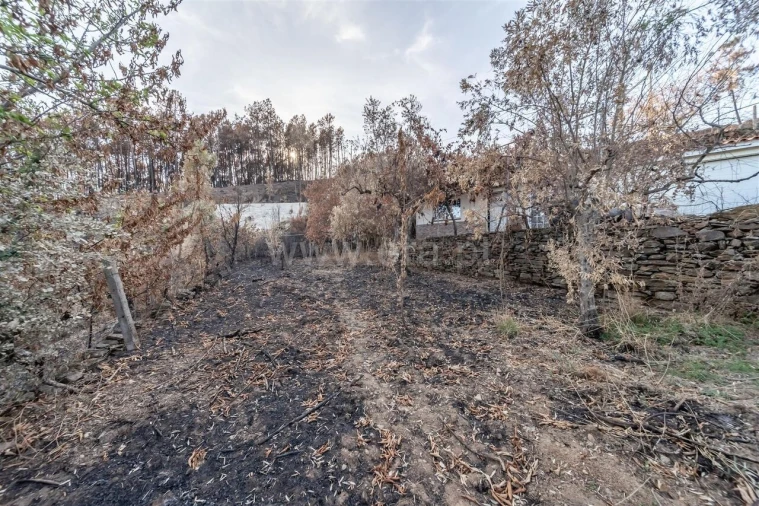 Quinta T2 para Venda em Castelejo Foto 16