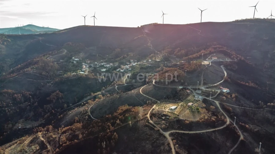 Quinta T2 para Venda em Castelejo Foto 20