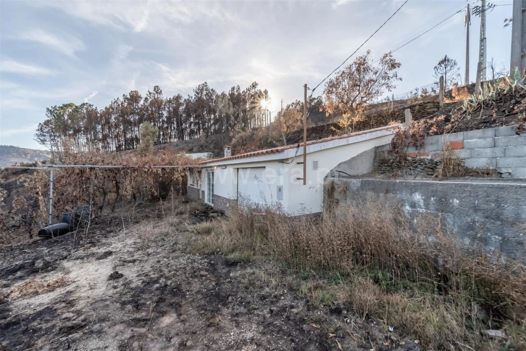 Quinta T2 para Venda em Castelejo Foto 13