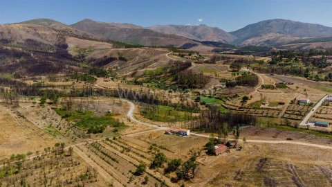 Quinta T1 para Venda em Erada