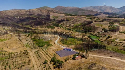 Quinta T1 para Venda em Erada