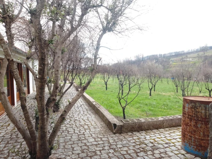 Quinta T1 para Venda em Erada Foto 5