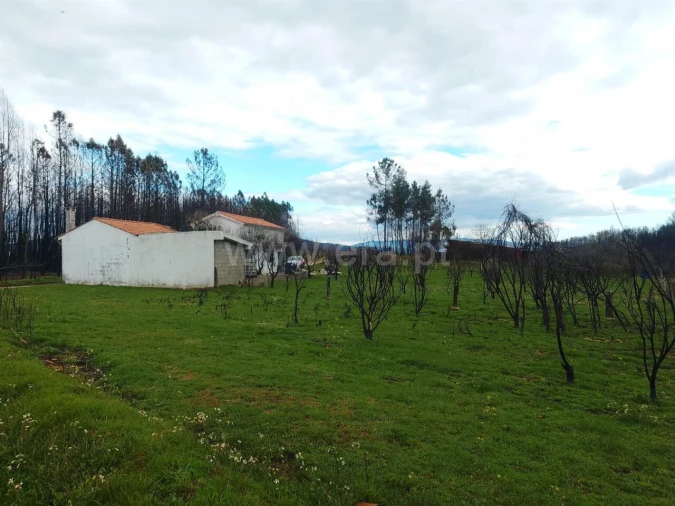 Quinta T1 para Venda em Erada Foto 3