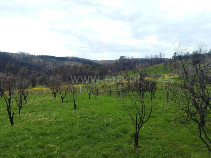 Quinta T1 para Venda em Erada Foto 2